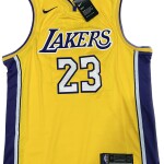 LEBRON JAMES LAKERS SIGNED JERSEY