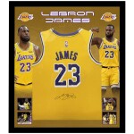 LEBRON JAMES LAKERS SIGNED JERSEY